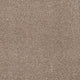 Cork Oak