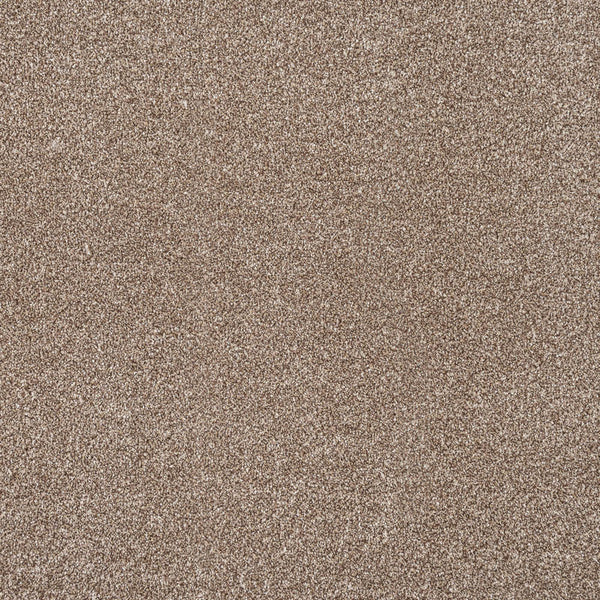 Apollo Plus Carpet | Buy Apollo Plus Carpets Online | Online Carpets