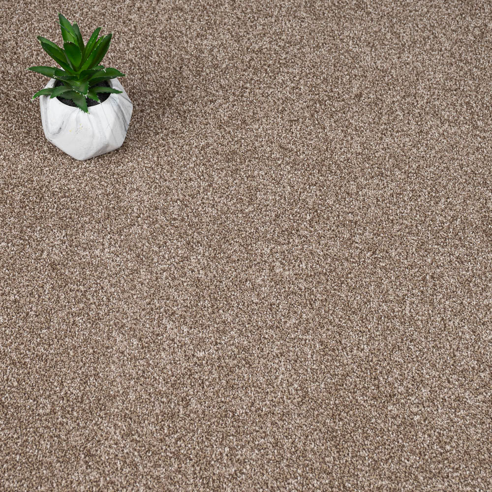 Cork Oak Apollo Plus Carpet | Buy Apollo Plus Carpets Online ...