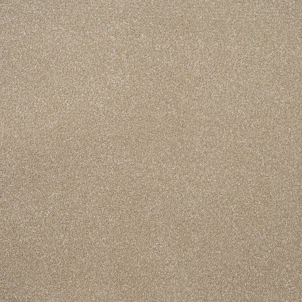 Regal Saxony Carpet
