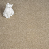 Cornfield Regal Saxony Carpet