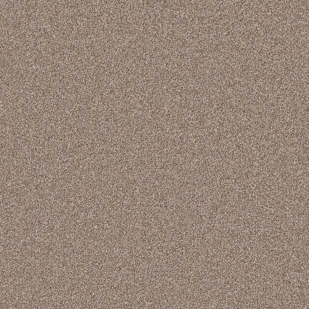 Cortado Primo Naturals Carpet by Cormar