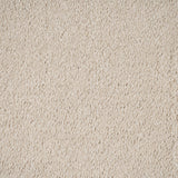 Cotton Cream Hartwell Saxony Carpet