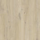 Cotton Oak Beige AVMPU40103