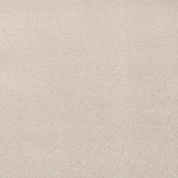 Cotton Stainfree Caress Carpet by Abingdon