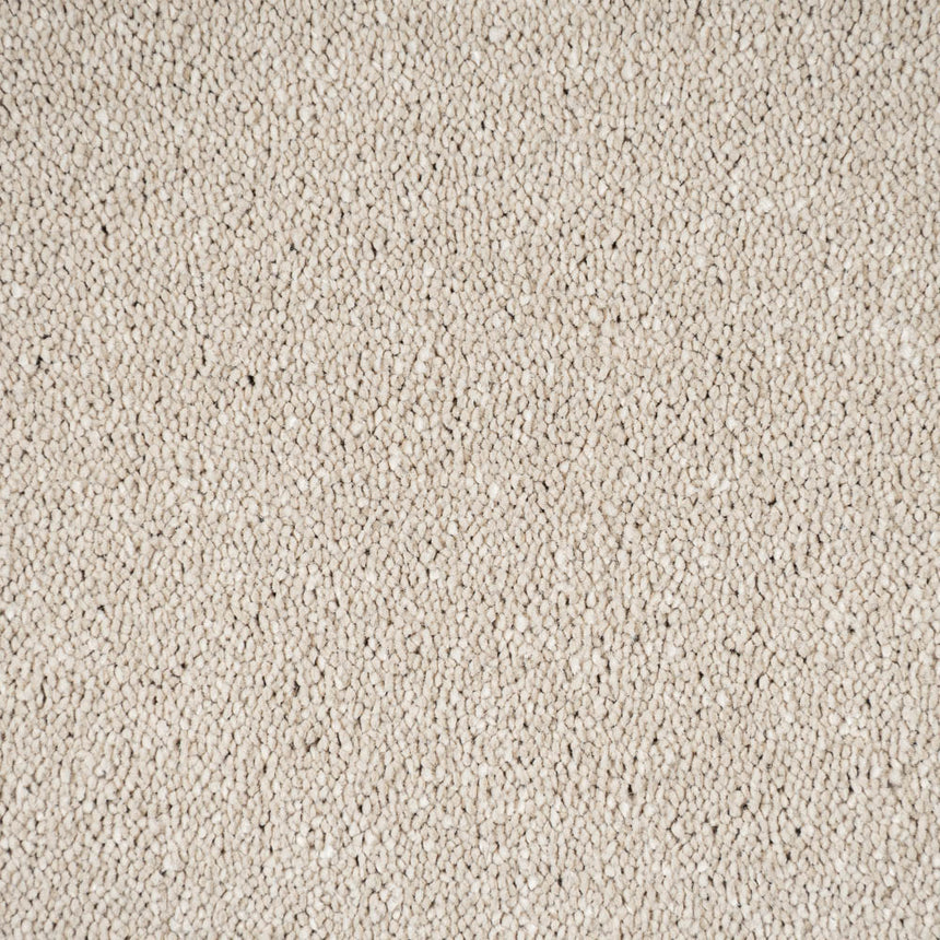 Cotton Stainfree Caress Carpet by Abingdon