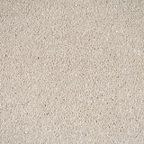 Cotton Stainfree Caress Carpet by Abingdon