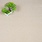 Cotton Stainfree Caress Carpet by Abingdon