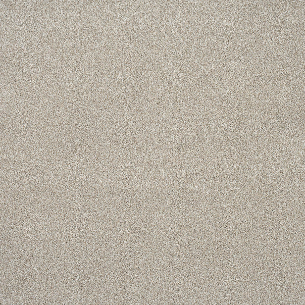 Country Life 06 Stainfree Rustique Saxony Carpet by Abingdon