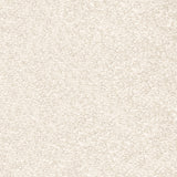 Cream 03 Centurion Invictus Carpet