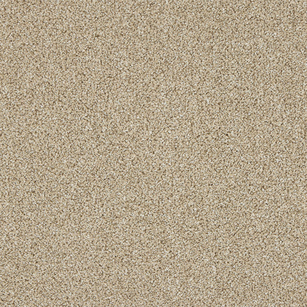 Creamed Ash Stainfree Knightsbridge Berber Carpet by Abingdon