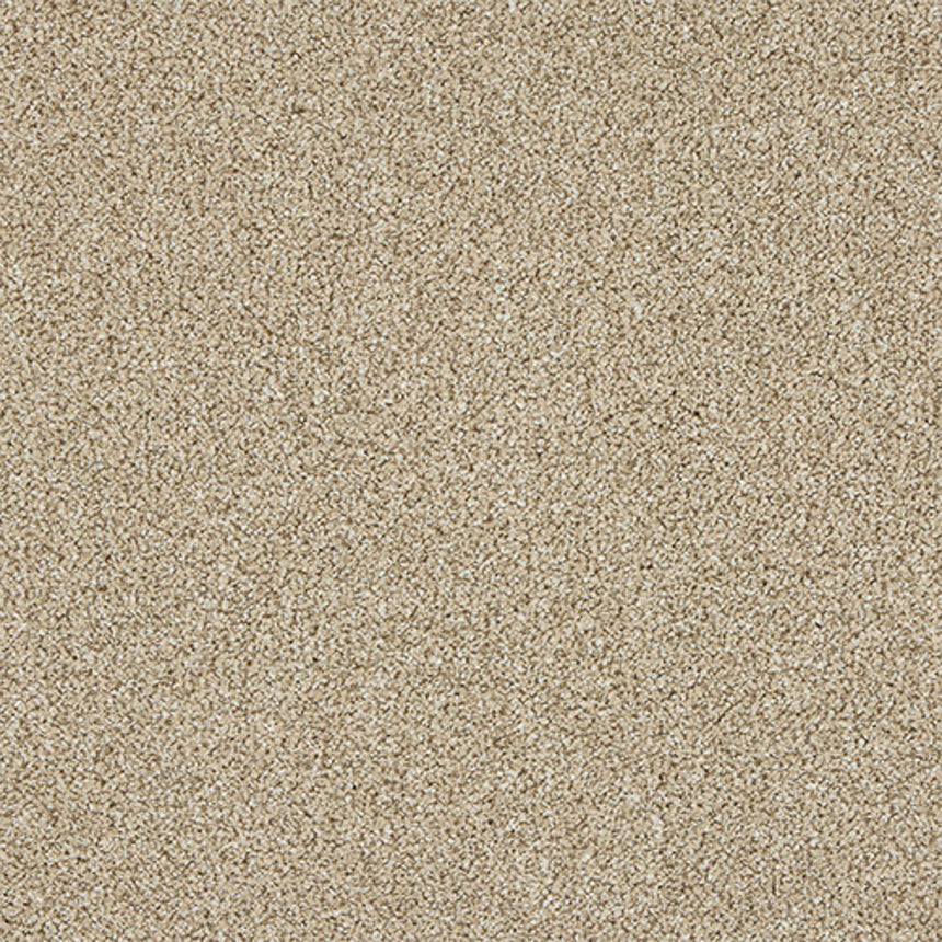 Stainfree Knightsbridge Berber Carpet by Abingdon