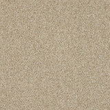 Stainfree Knightsbridge Berber Carpet by Abingdon