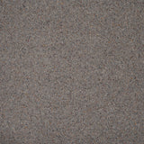 Wilton Royal Charter Berber Deluxe Carpet by Abingdon