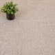 Sandy Beige Harmony Tweed Twist Carpet