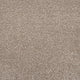 Dark Beige