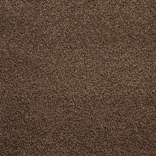 Dark Brown Catalonia Saxony Carpet