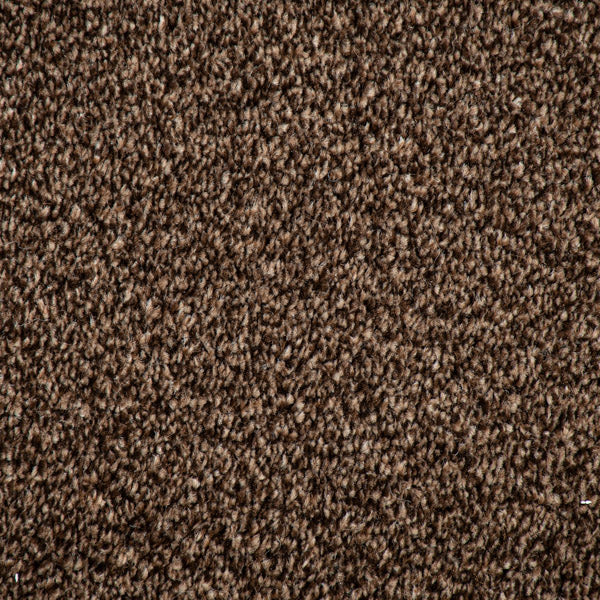 Dark Brown Catalonia Saxony Carpet