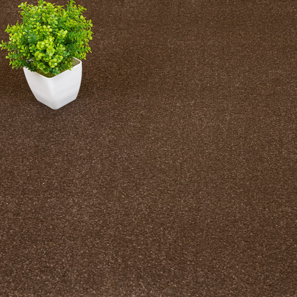 Dark Brown Solaris Twist Carpet