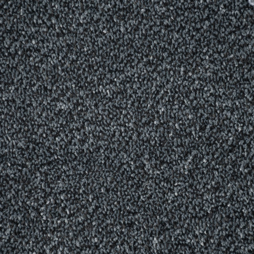 Dark Grey Dovecote Saxony Carpet