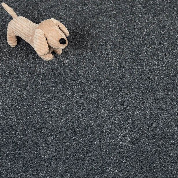 Dark Grey Dovecote Saxony Carpet