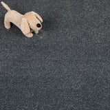 Dark Grey Dovecote Saxony Carpet