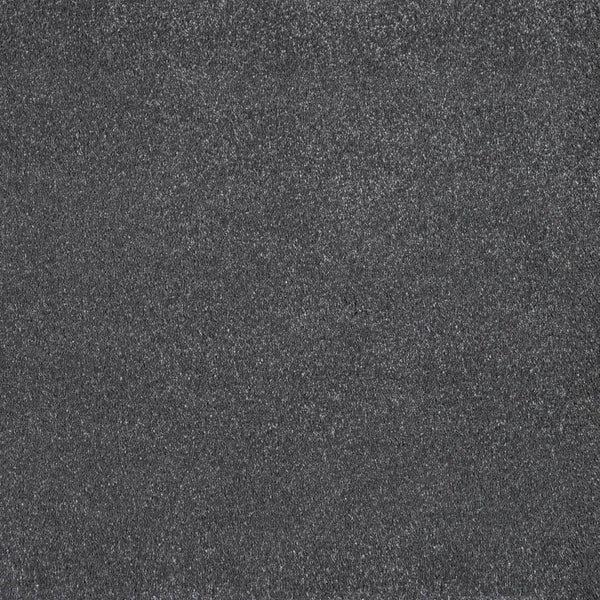 Dark Grey Moxie Saxony Carpet