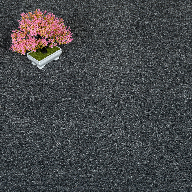 Dark Grey Sudbury Twist Carpet