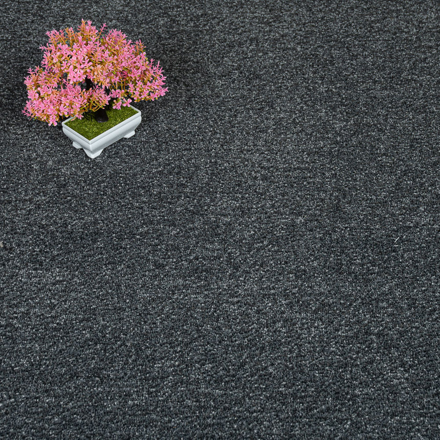 Dark Grey Sudbury Twist Carpet