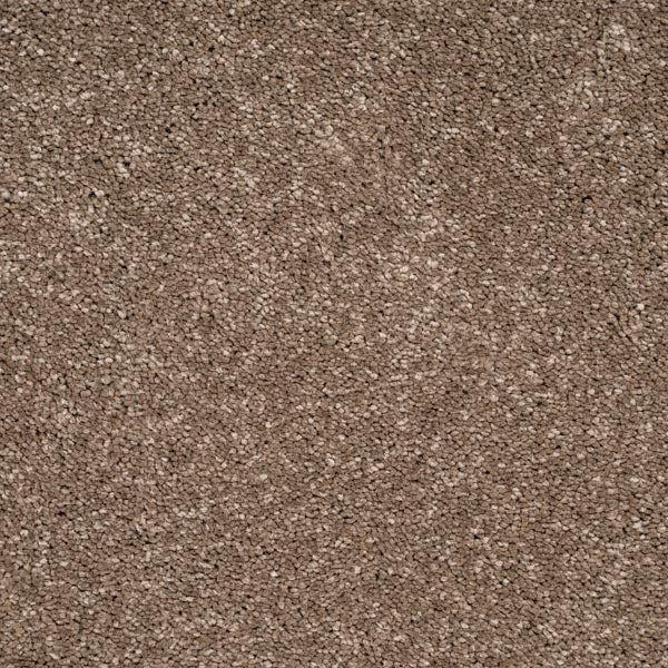 Den 45 Orion 50oz Invictus Carpet 4.4m x 5m Remnant