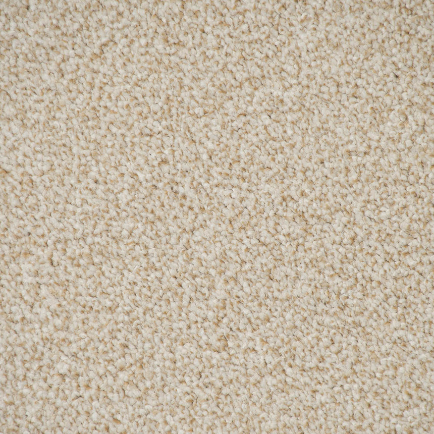 Desert Fleece Stainfree Knightsbridge Berber Carpet by Abingdon