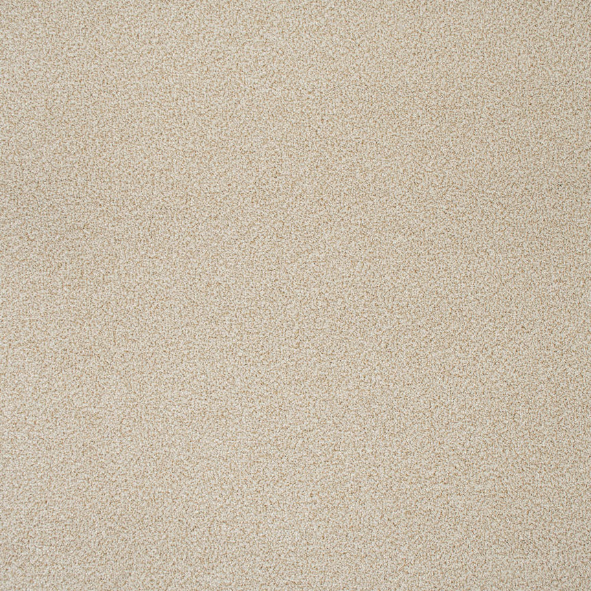 Desert Fleece Stainfree Knightsbridge Berber Carpet by Abingdon