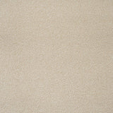 Desert Fleece Stainfree Knightsbridge Berber Carpet by Abingdon