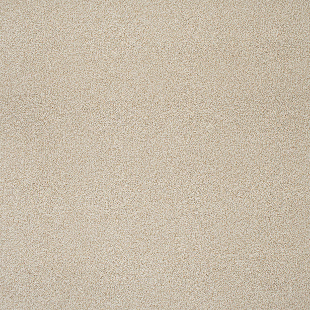 Desert Fleece Stainfree Knightsbridge Berber Carpet by Abingdon