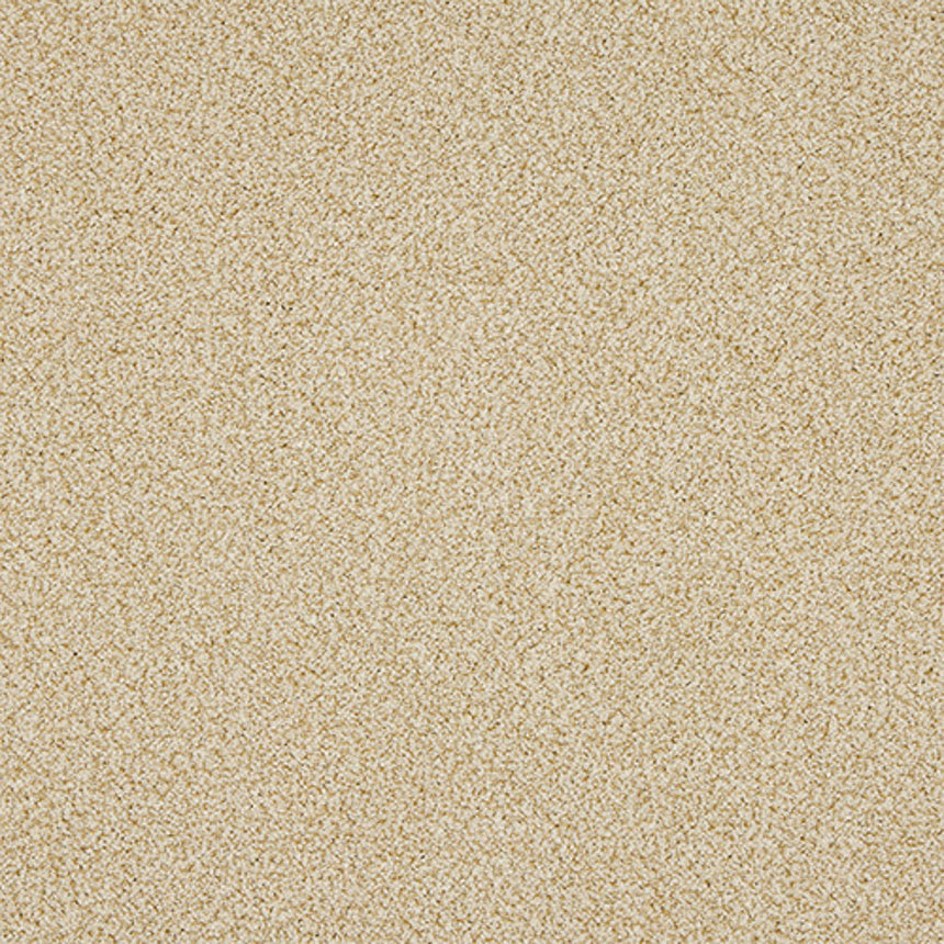 Stainfree Knightsbridge Berber Carpet by Abingdon