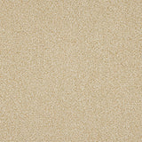 Stainfree Knightsbridge Berber Carpet by Abingdon