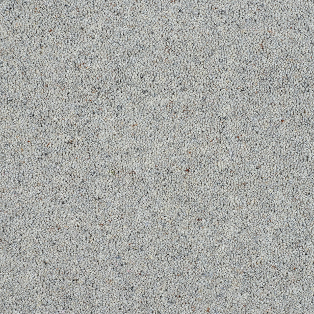 Dolphin Grey Royal Windsor Charter Berber Deluxe Carpet by Abingdon