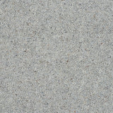 Royal Windsor Charter Berber Deluxe Carpet by Abingdon