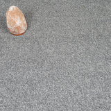 Dolphin Harewood Saxony Carpet