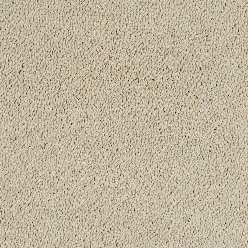 Double Cream Velvet Dreams Love Story Carpet by Abingdon