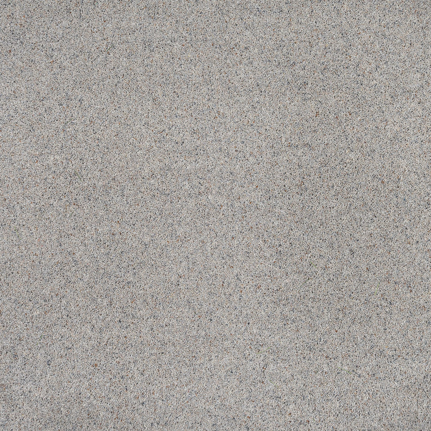 Wilton Royal Charter Berber Deluxe Carpet by Abingdon