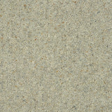 Royal Windsor Charter Berber Deluxe Carpet by Abingdon