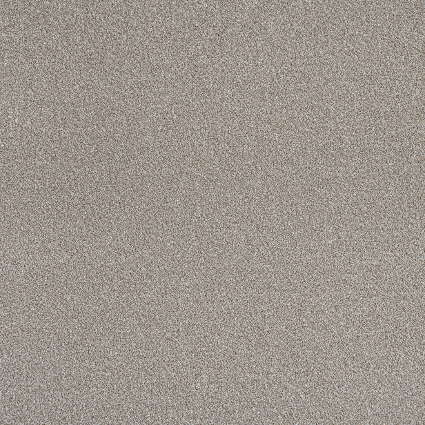 Driftwood Stainfree Rustique Ultra Carpet by Abingdon