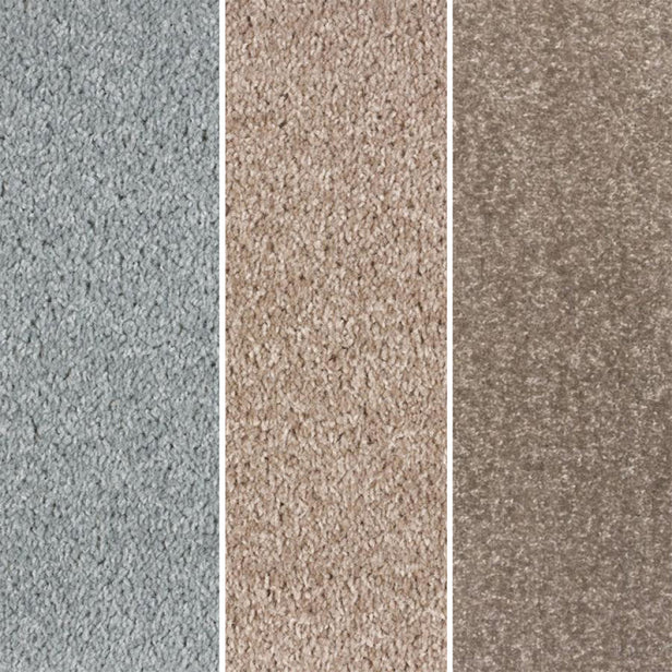 Dublin Twist Actionback Carpet Clearance