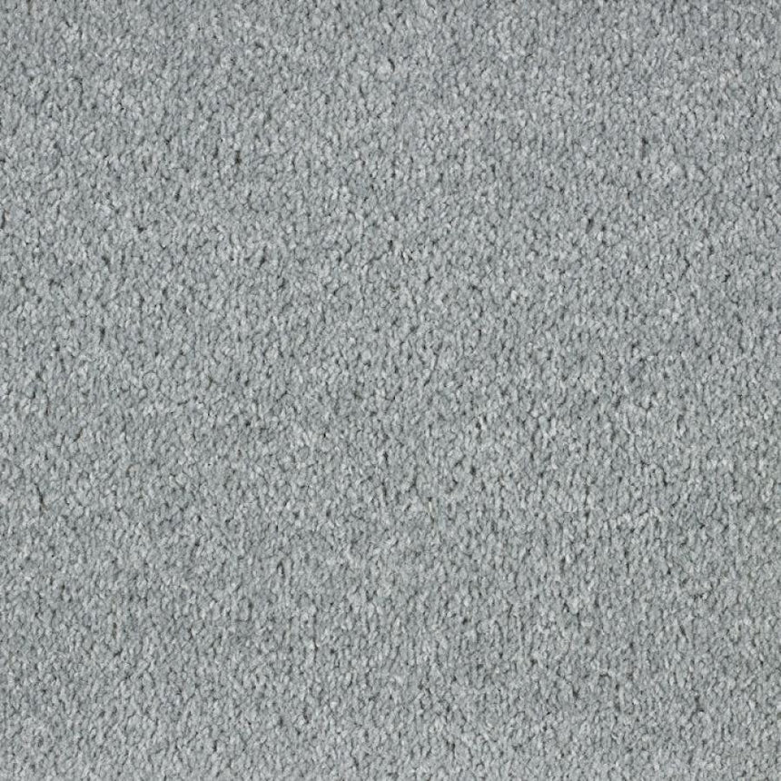 Dublin Twist Actionback Carpet Clearance