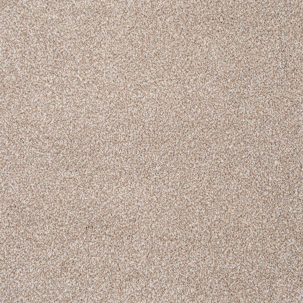 Delaware Saxony Carpet Buy Delaware Saxony Carpet Online