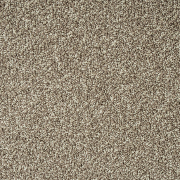 Dusky Brown Missouri Saxony Carpet 5.6m x 5m Remnant
