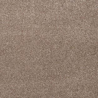 Dusky Brown Louisiana Saxony Carpet