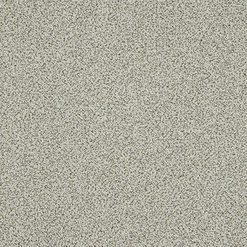 Stainfree Knightsbridge Berber Carpet by Abingdon