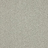 Stainfree Knightsbridge Berber Carpet by Abingdon
